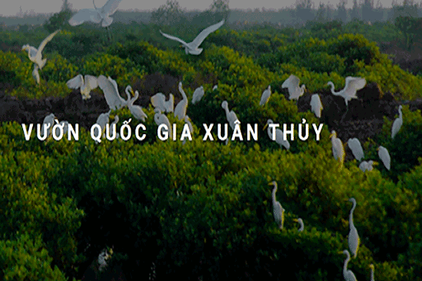 Thời tiết Nam Định tuần tới:  Du lịch vườn quốc gia Xuân Thủy