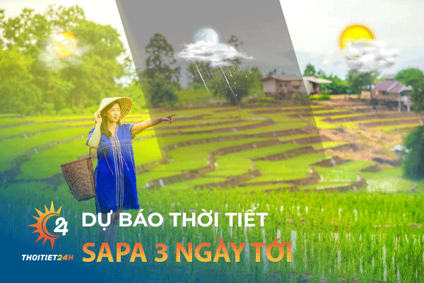 Thời tiết Sapa 3 ngày tới có mưa không? Chơi gì ở Sapa 3 ngày 2 đêm? 