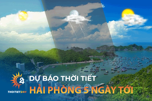 Thời tiết Hải Phòng 5 ngày tới có thích hợp "foodtour" Hải Phòng 