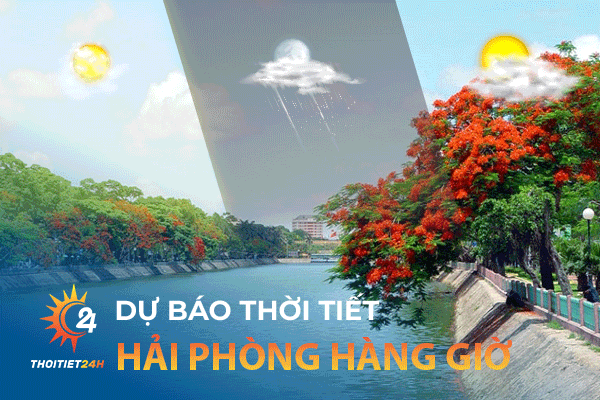 Dự báo thời tiết Hải Phòng hàng giờ - Cập nhật mới nhất