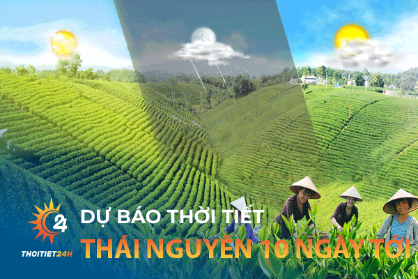 Dự báo thời tiết Thái Nguyên 10 ngày tới: Nên đi chơi ở đâu?