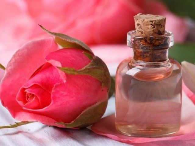 Chăm sóc da bằng nha đam và nước hoa hồng