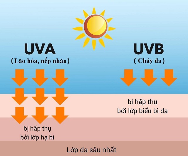 Ảnh hưởng của tia UV đến da