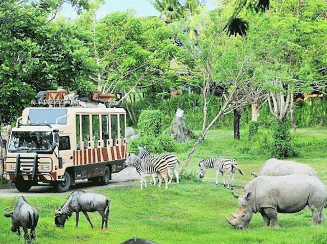 Khám phá thế giới tự nhiên tại Vinpearl Safari Phú Quốc