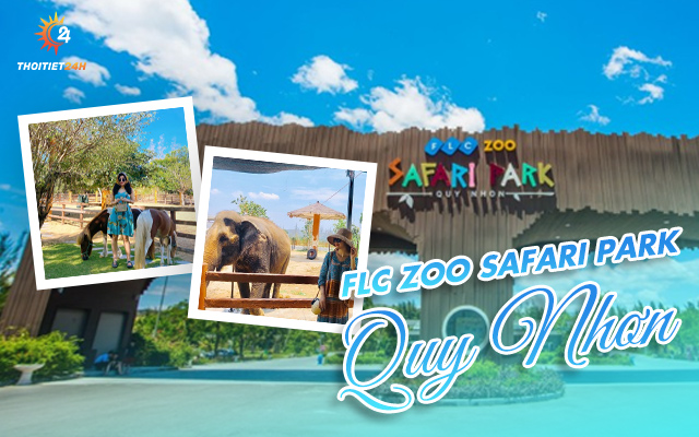 Trải nghiệm FLC Zoo Safari Park