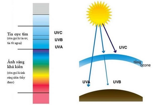 Chỉ số UV được tính theo thang đo từ 1 - 11+