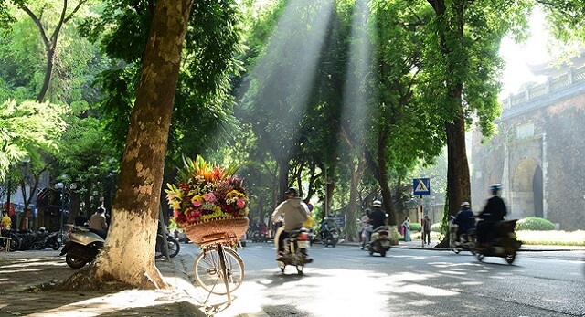 Thời tiết Hà Nội mùa hè - nắng nhuộm vàng những con phố. 