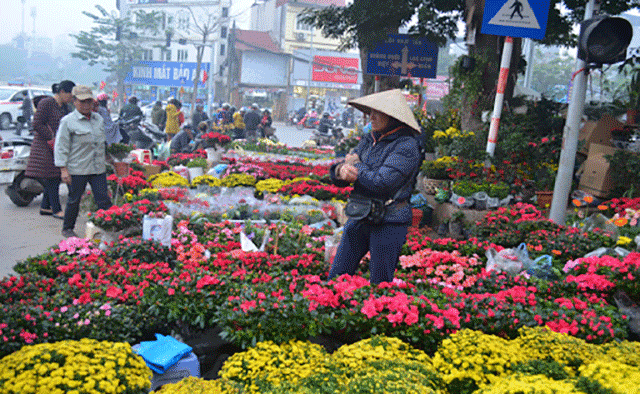 Thời tiết Hà Nội chiều nay tại chợ hoa đường Hoàng Hoa Thám 
