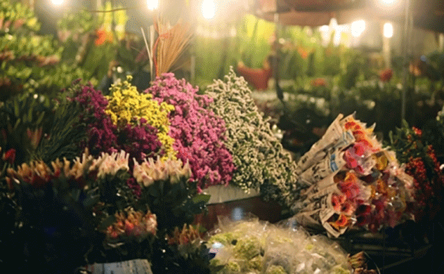 Chợ hoa đêm Mê Linh rực rỡ