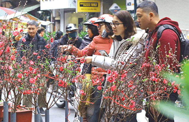 Chợ hoa Hàng Lược vào gần Tết