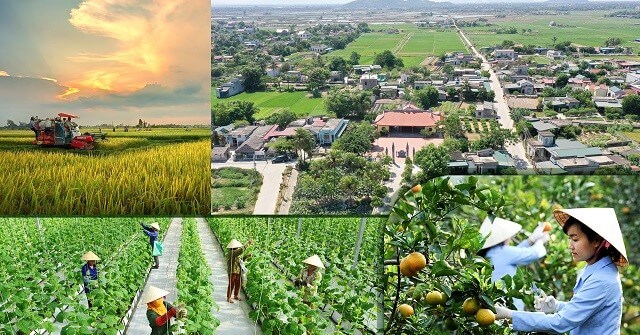 Thời tiết Thanh Hóa giúp phát triển nông nghiệp 